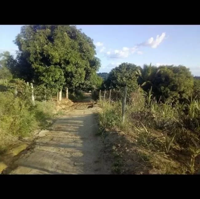 idealsolucao-626886f04cc1dbc0868b22c80da4852a